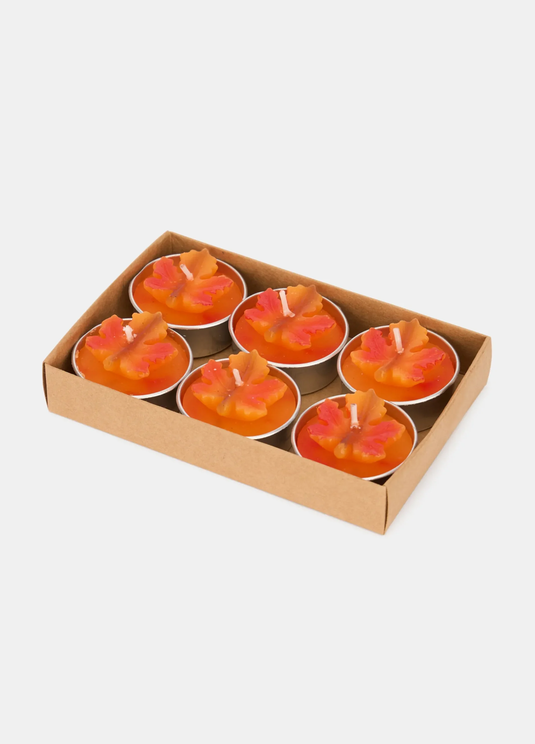 6 pack candeline foglia d'acero*Croff Online