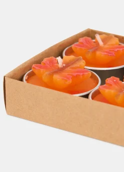 6 pack candeline foglia d'acero*Croff Online