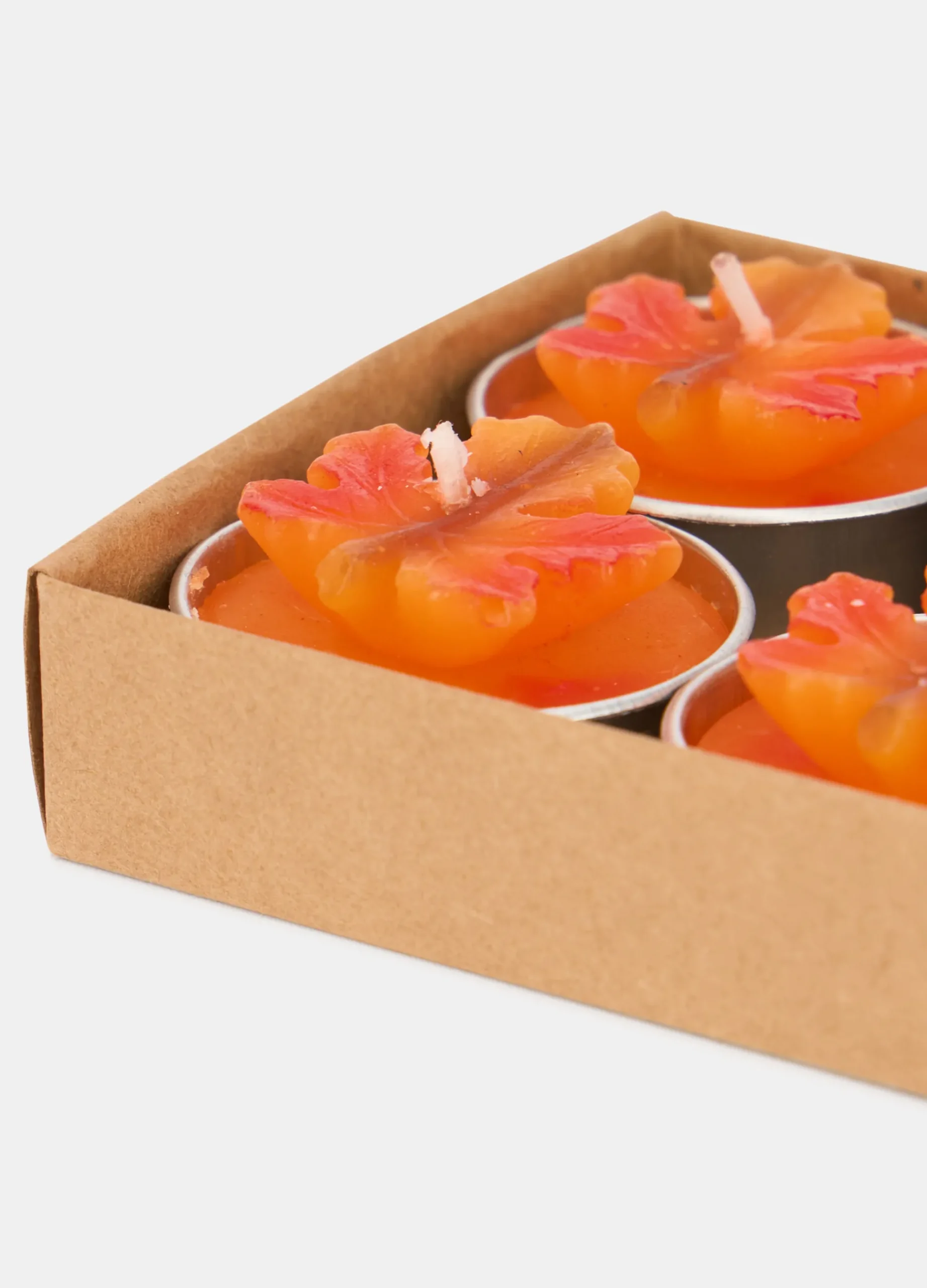 6 pack candeline foglia d'acero*Croff Online