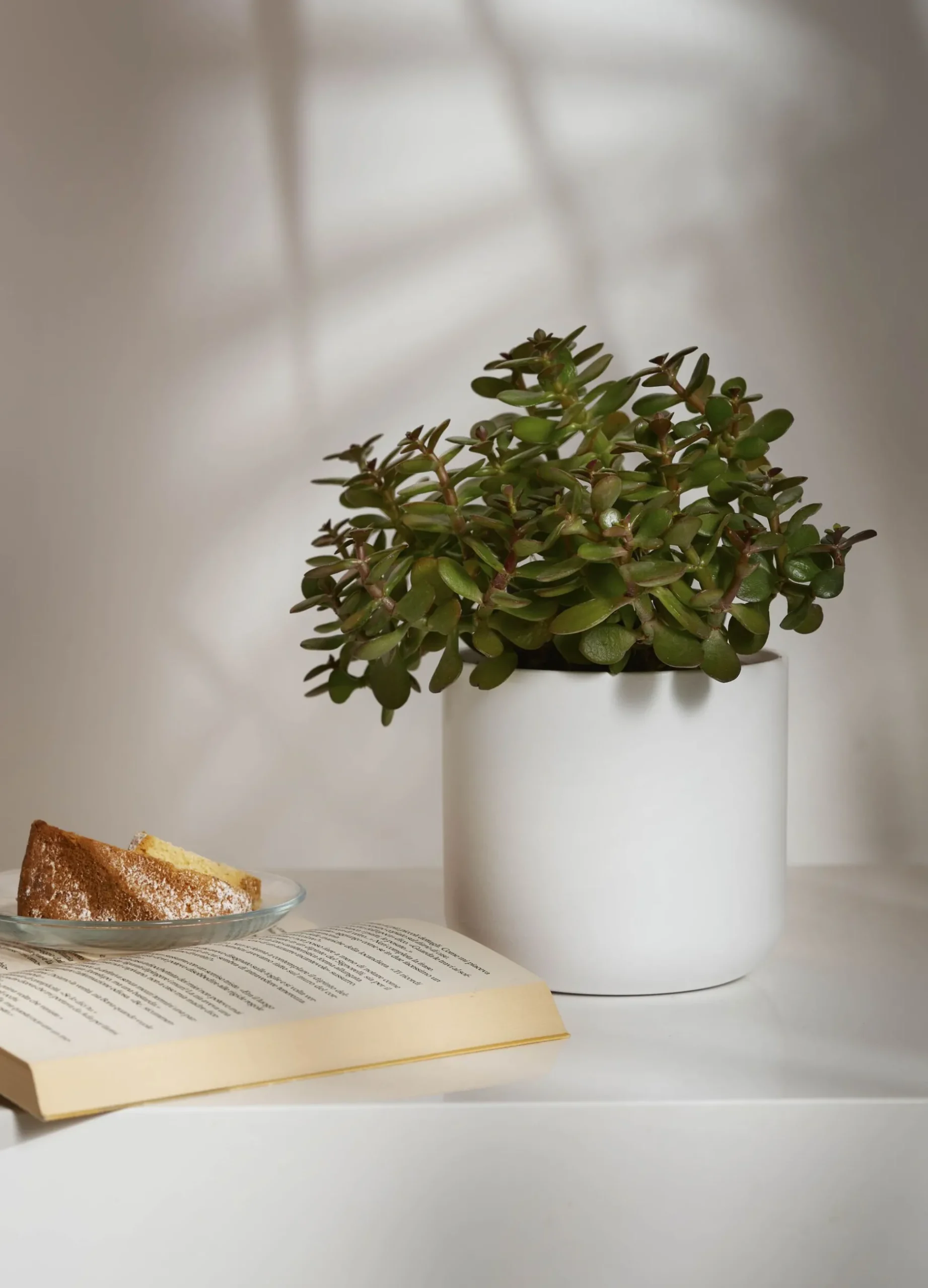Vaso in ceramica*Croff Discount